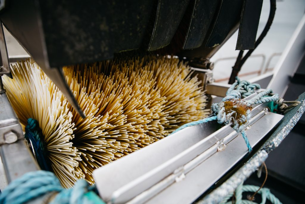 Mussel and Oyster Brush