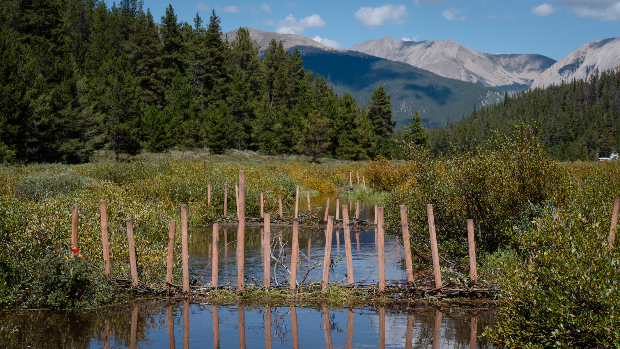 Beaver dam analogs with mountain views near Crested Butte, Colorado.