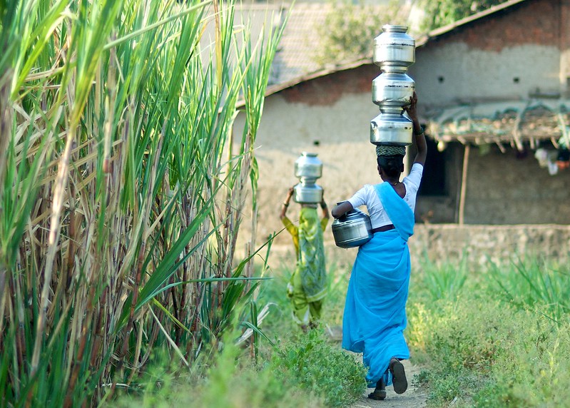 A woman from Nanegaon in the Kolwan Valley west of Pune carries water home past the sugarcane fields