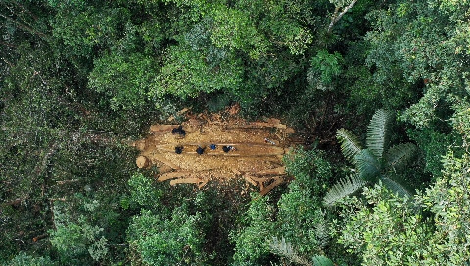 A spot where the Amazon has been cleared