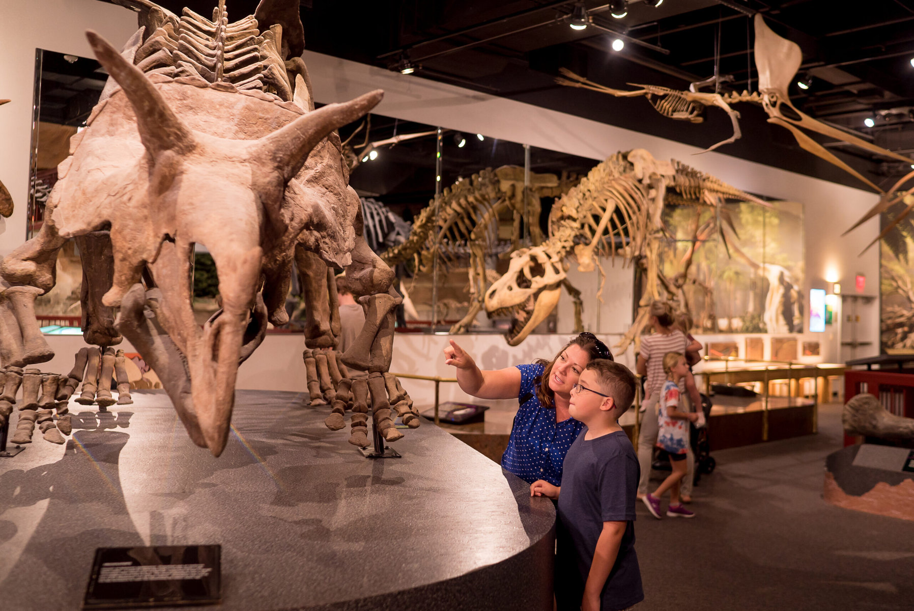 A family looks at dinosaur bones at the Arizona Museum of Natural History.