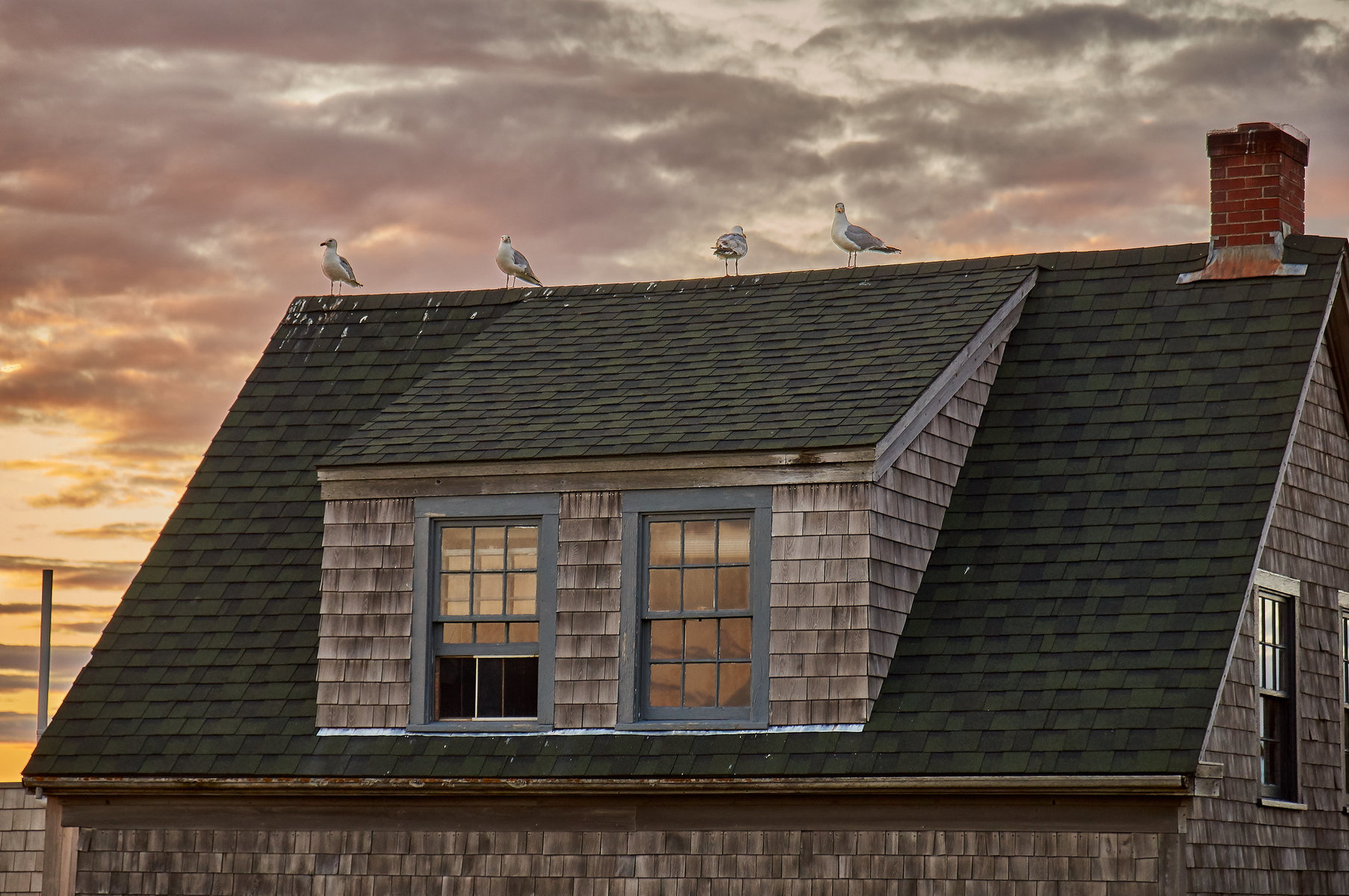 Seagulls sit atop a home at sunset.