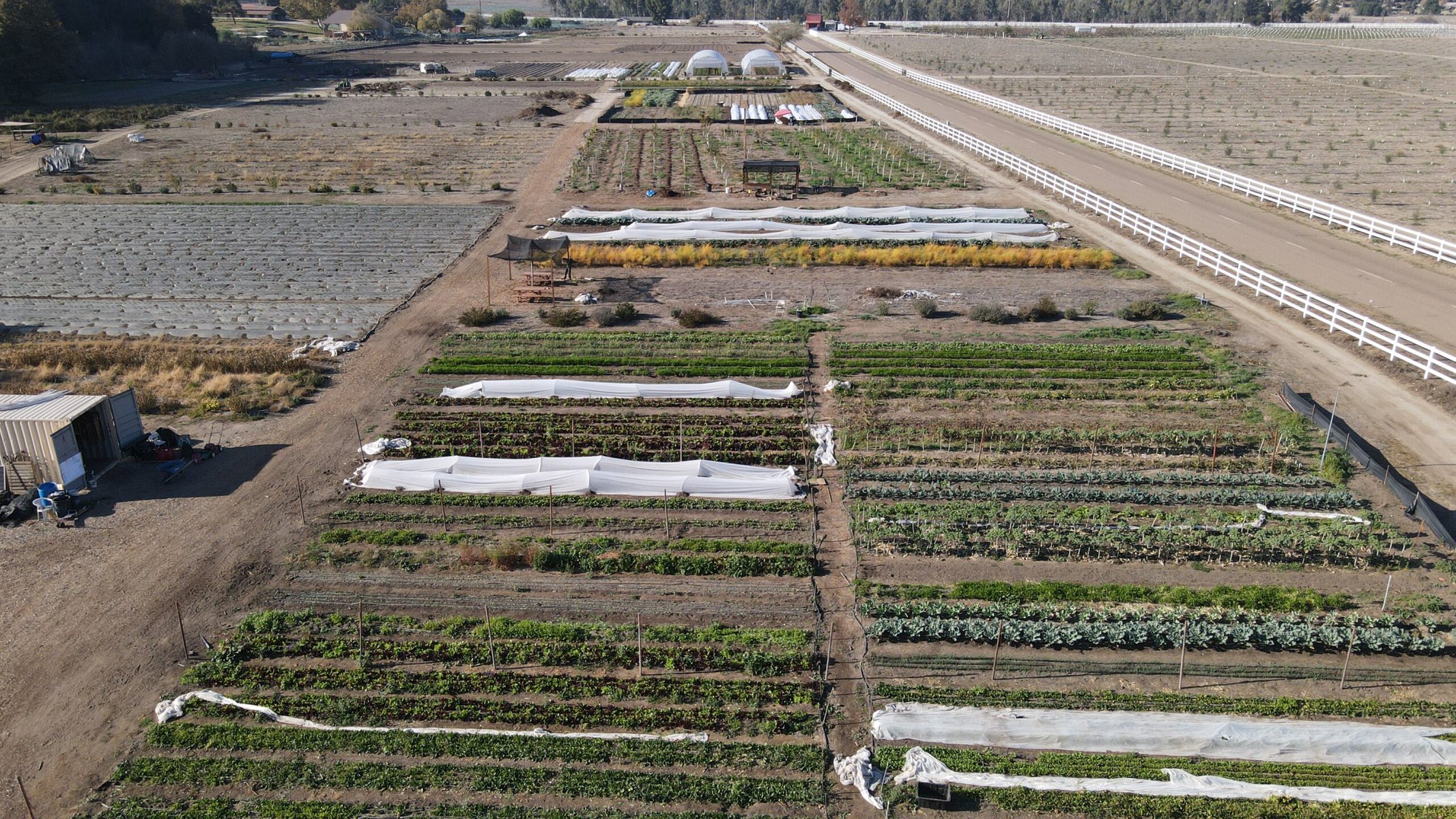 An aerial view of Solidarity Farm, showing many horizonal rows. 