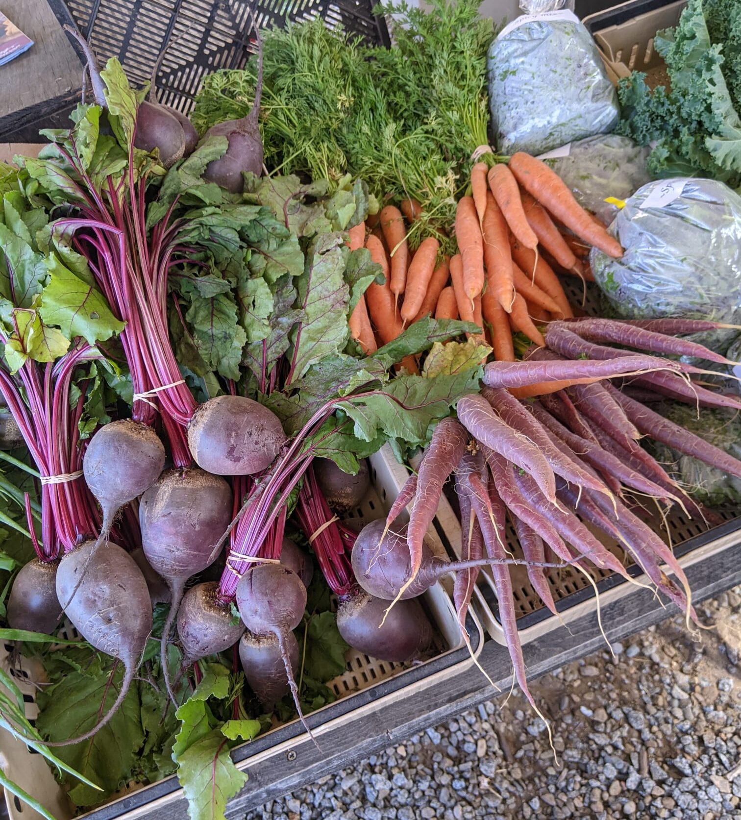 Produce at a farm stand including radishes and carrots in bunches.
