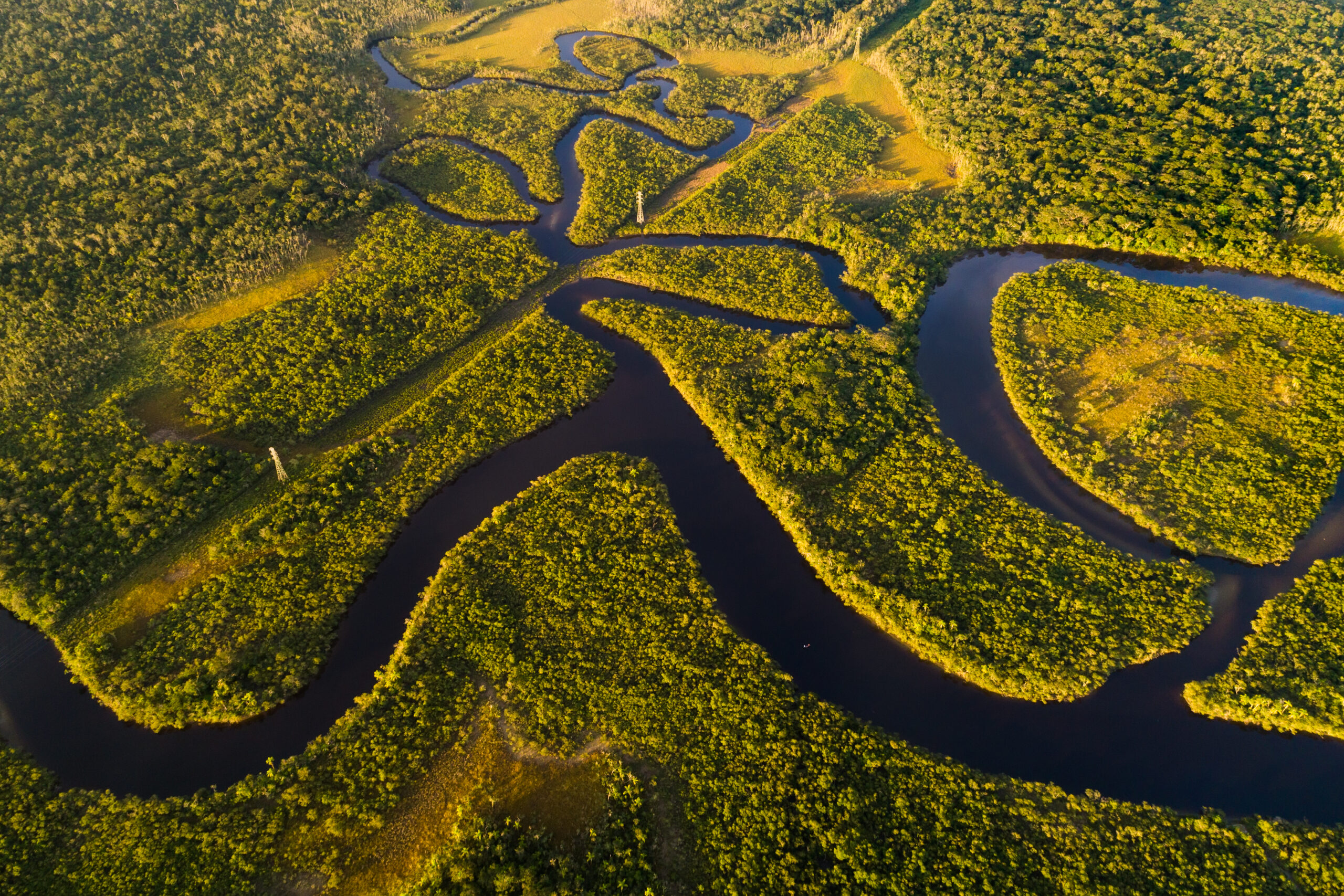 Aerial view of the Amazon rainforest 