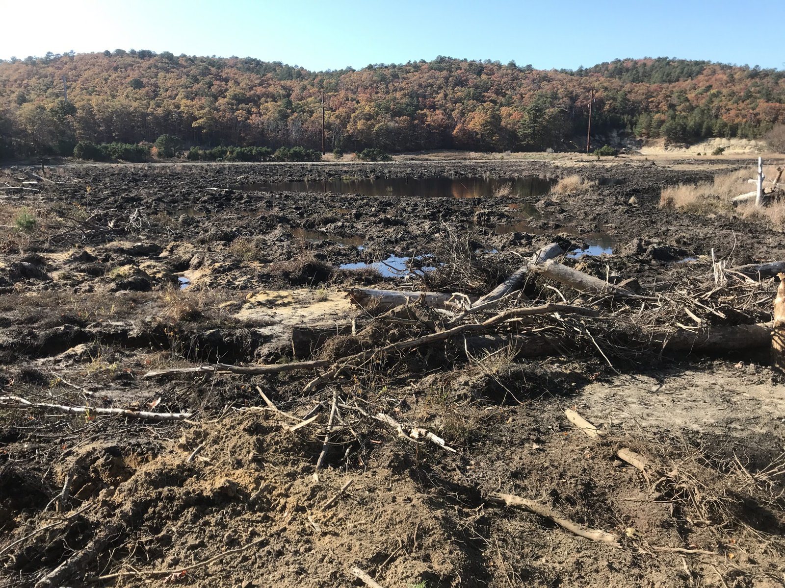 A desolate-looking former cranberry bog during restoration work.