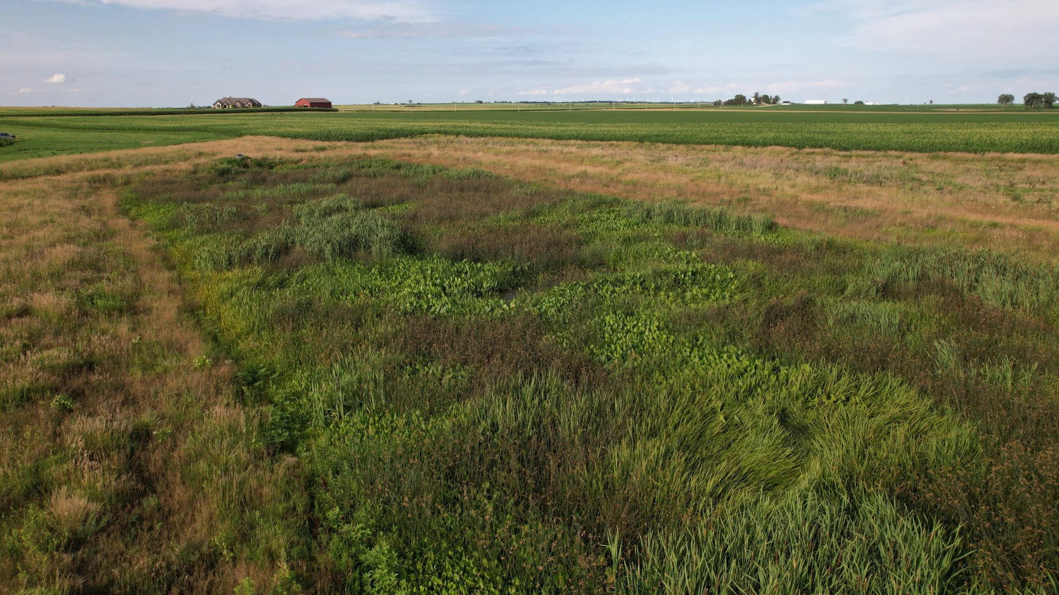 View of Fulton Farm Wetland.