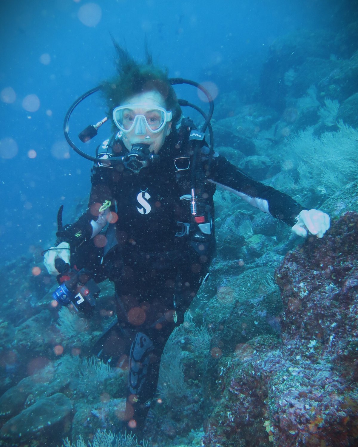 Sylvia Earle diving in the Galapagos.
