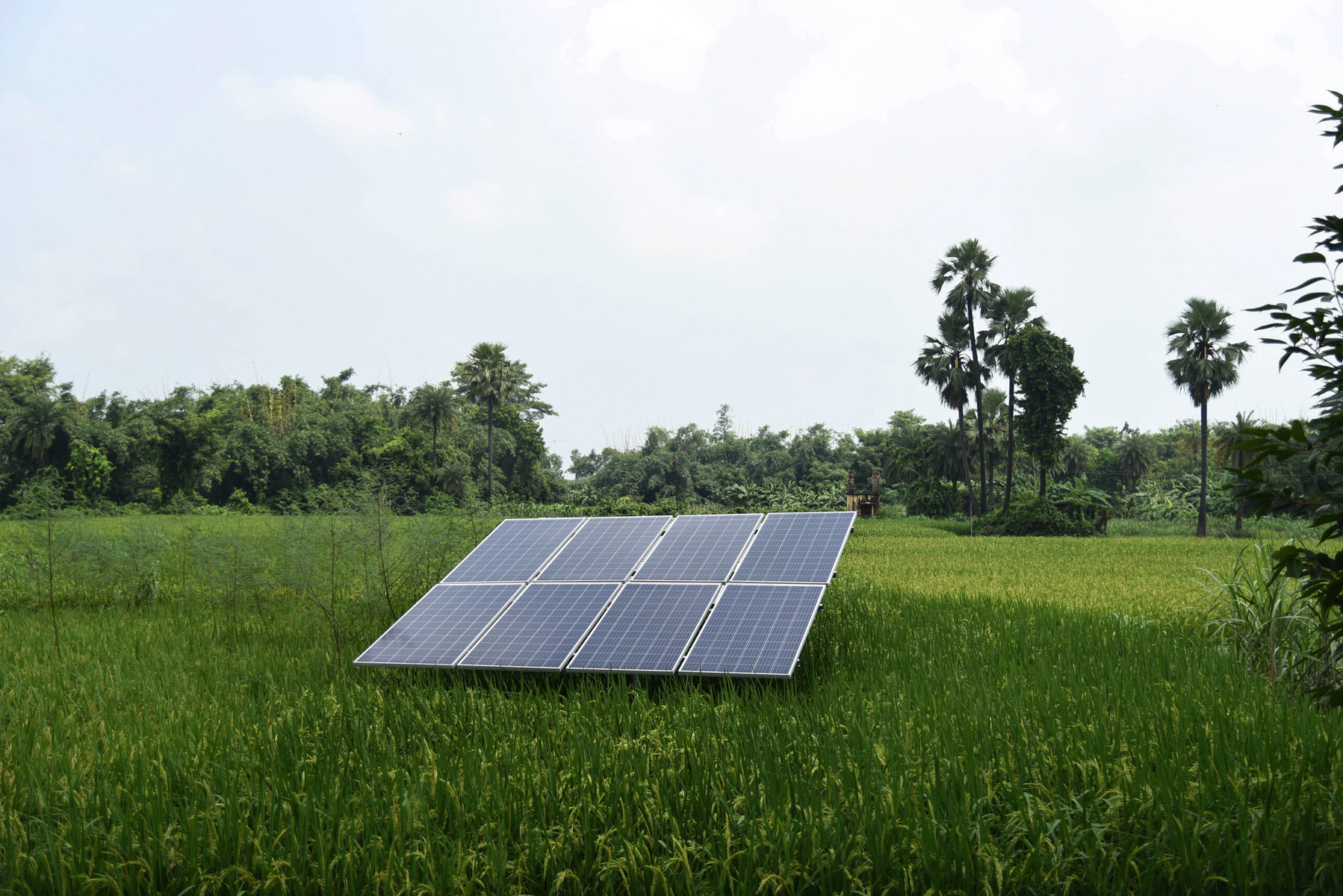 A solar panel installed at Ragho Majholi village under Bochaha block in Muzaffarpur district.