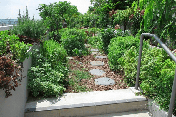 Singapore rooftop garden