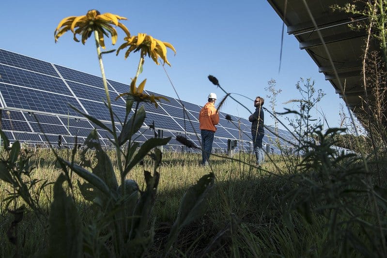 Solar farms feel the heat from ministers but industry hopes it can