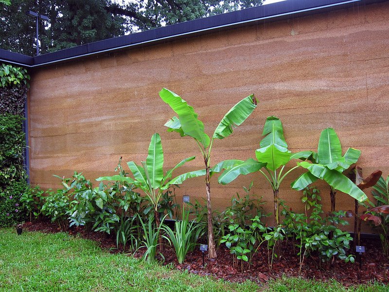 hempcrete