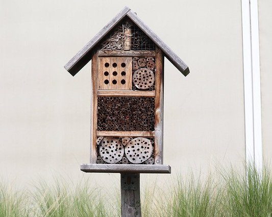 bee hotel