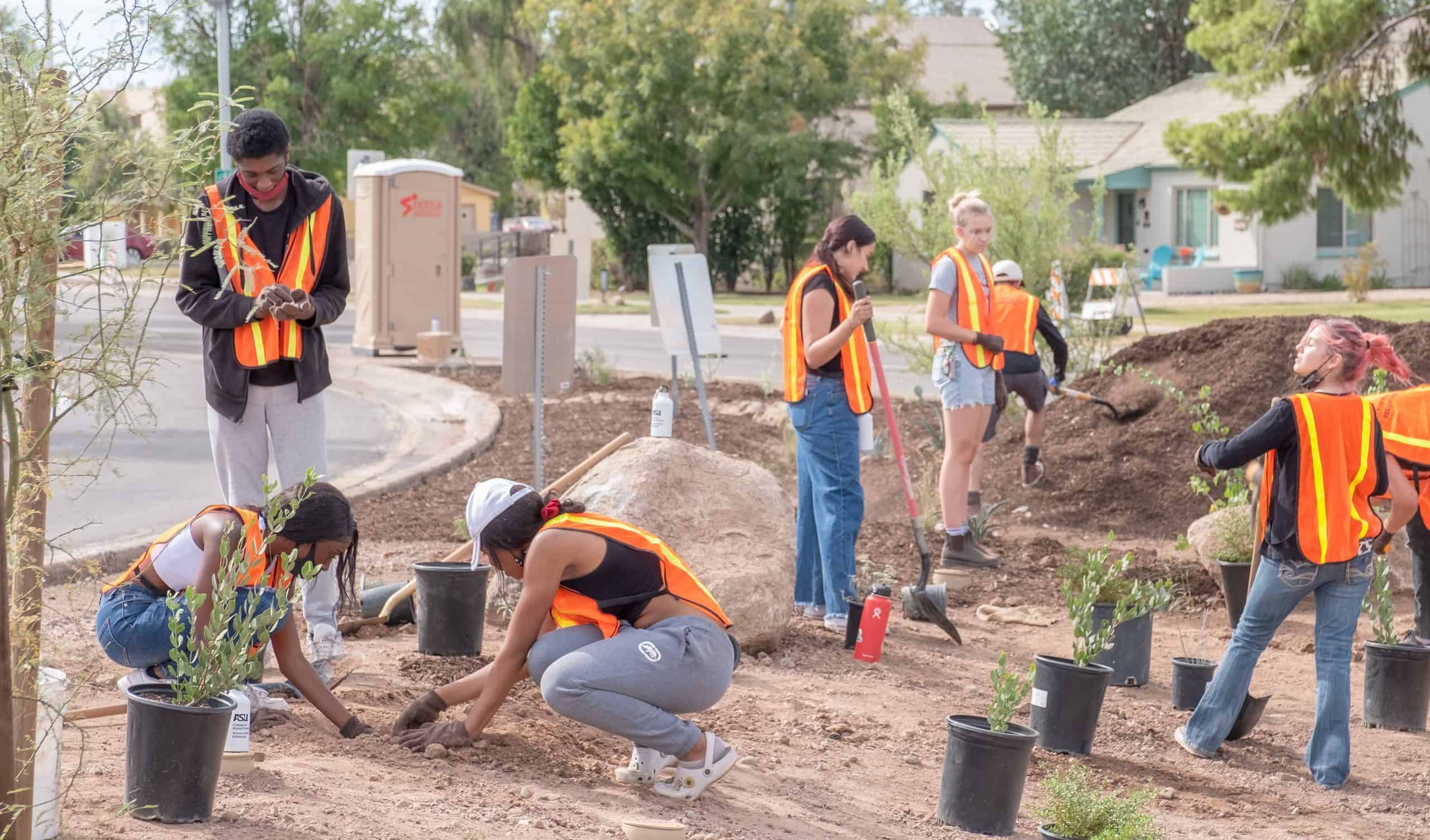 Does Your City Need a 'Youth Council' for Climate Change?