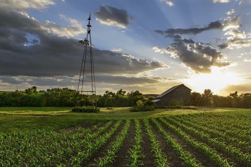 iowa