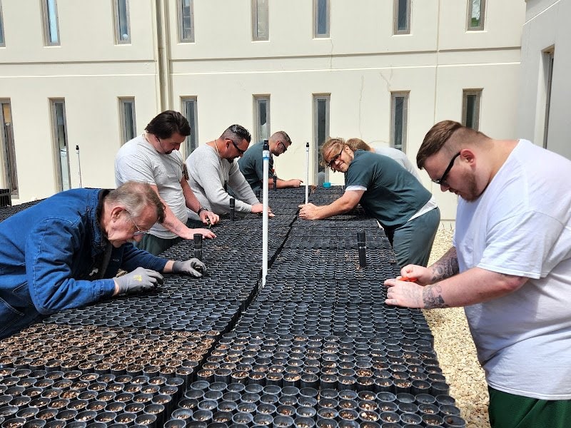 Sagebrush in Prisons participants working