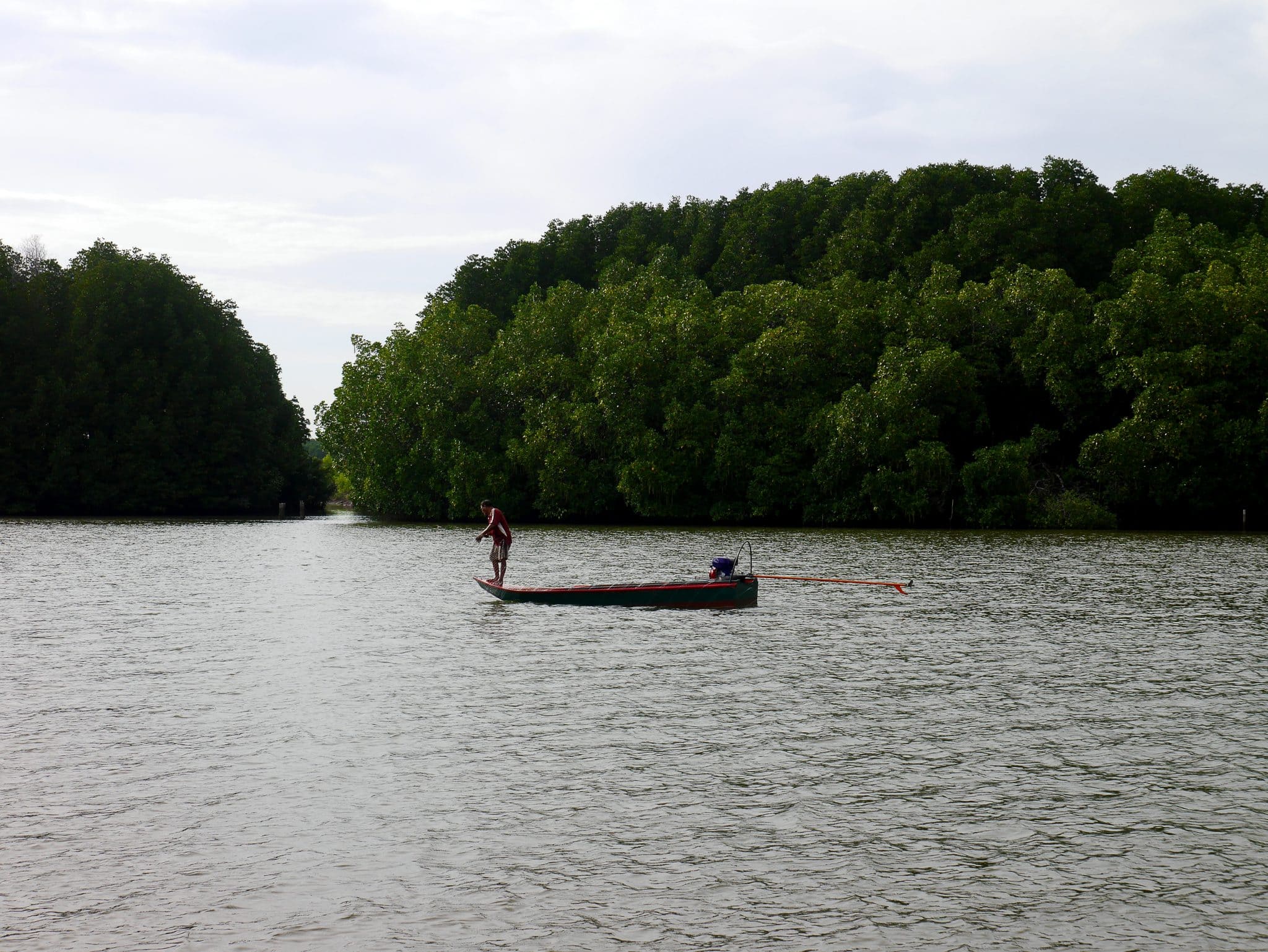 Pakistans Mangroves Are A Coastal Conservation Marvel