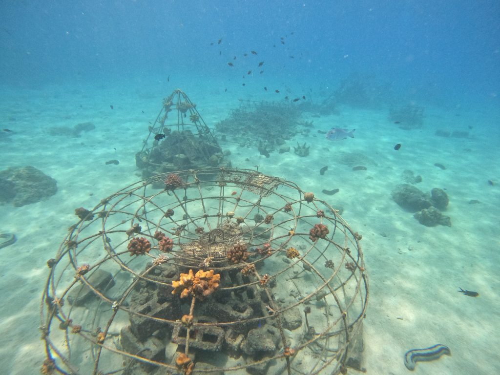 Building Artificial Reefs: What to Expect - Kryton