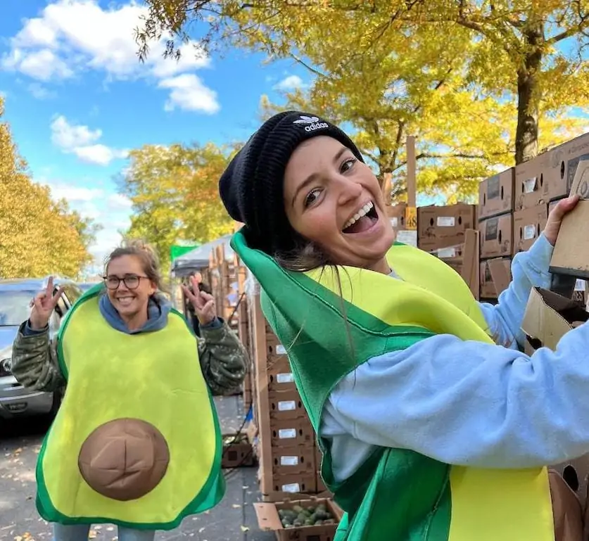 Avogeddon fun