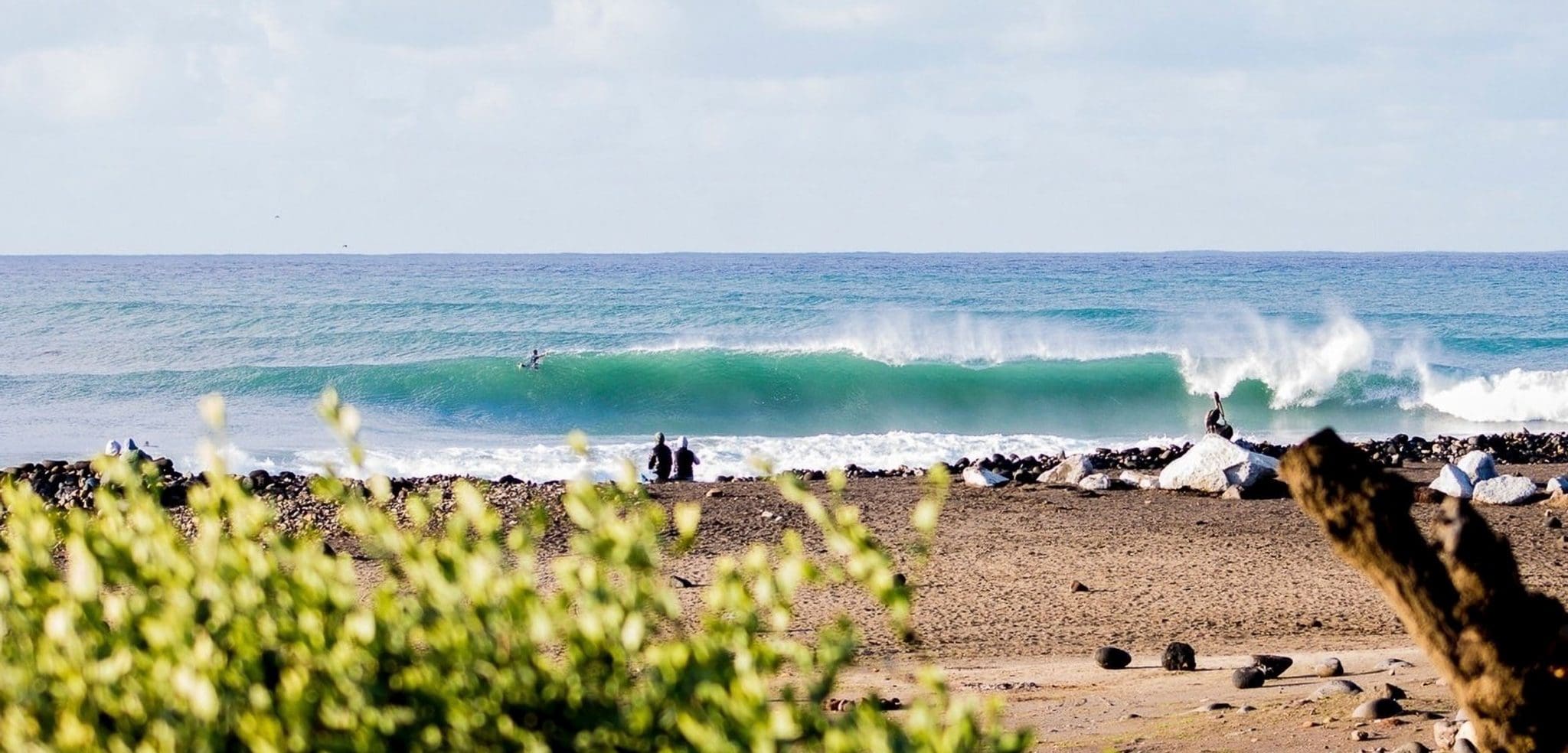 Meet the Surfers Fighting 'Wave Extinction' in Mexico