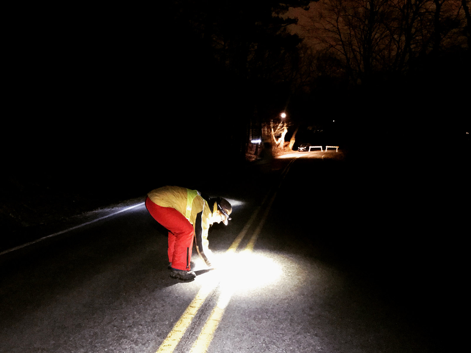 Salamander crossing brigade volunteer on road