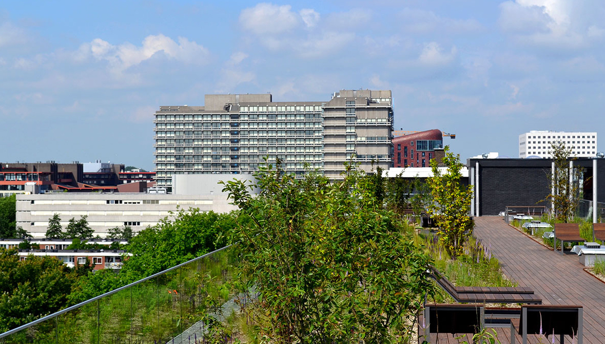 MetroPolder Company roof in Amsterdam