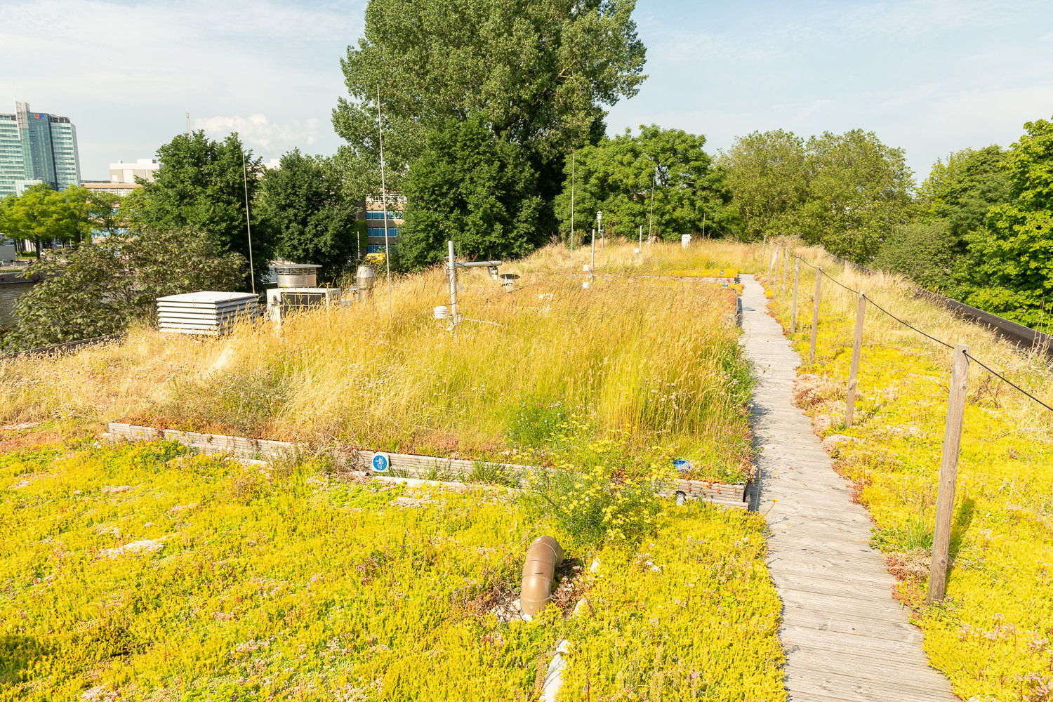 Amsterdam smart garden rooftop