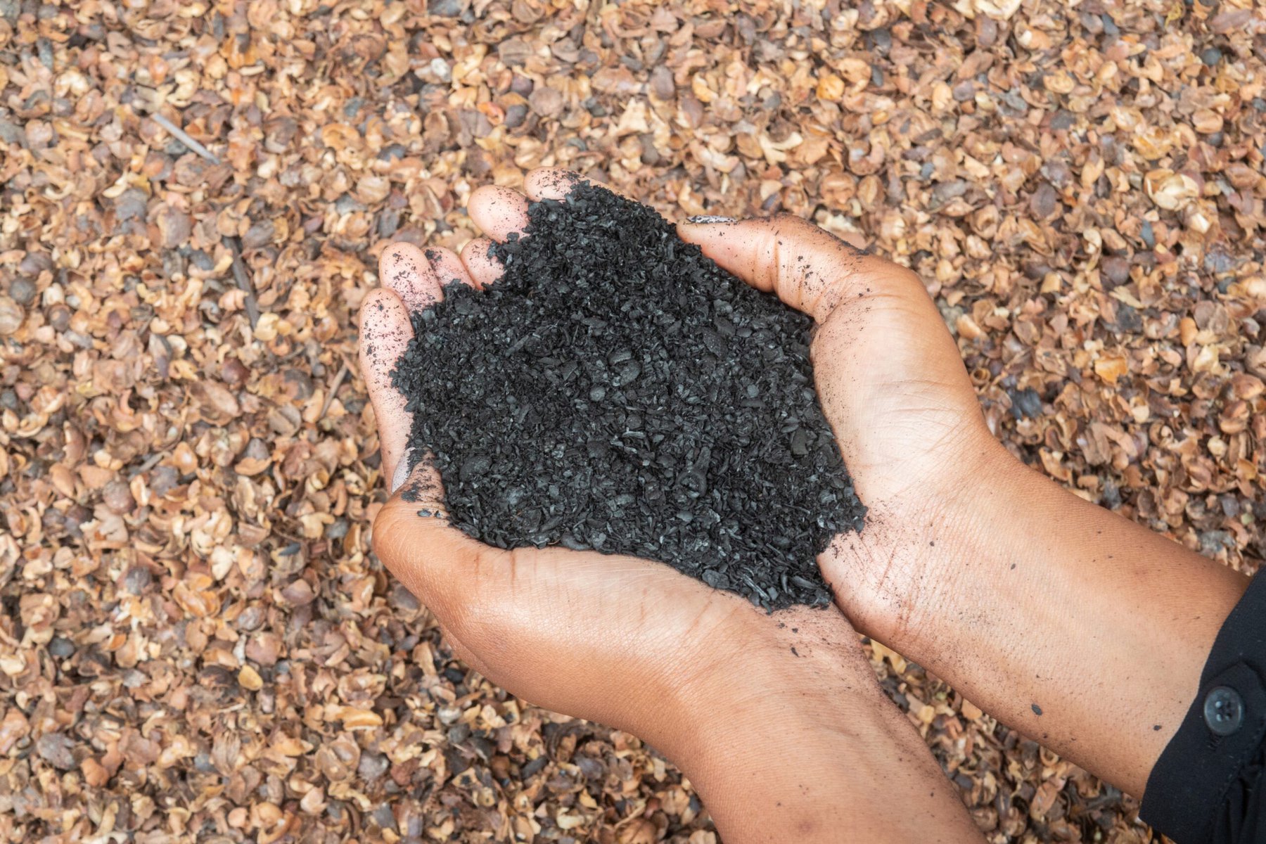 Though public awareness is low, some scientists believe “biochar” is quietly becoming the world’s first major carbon removal success