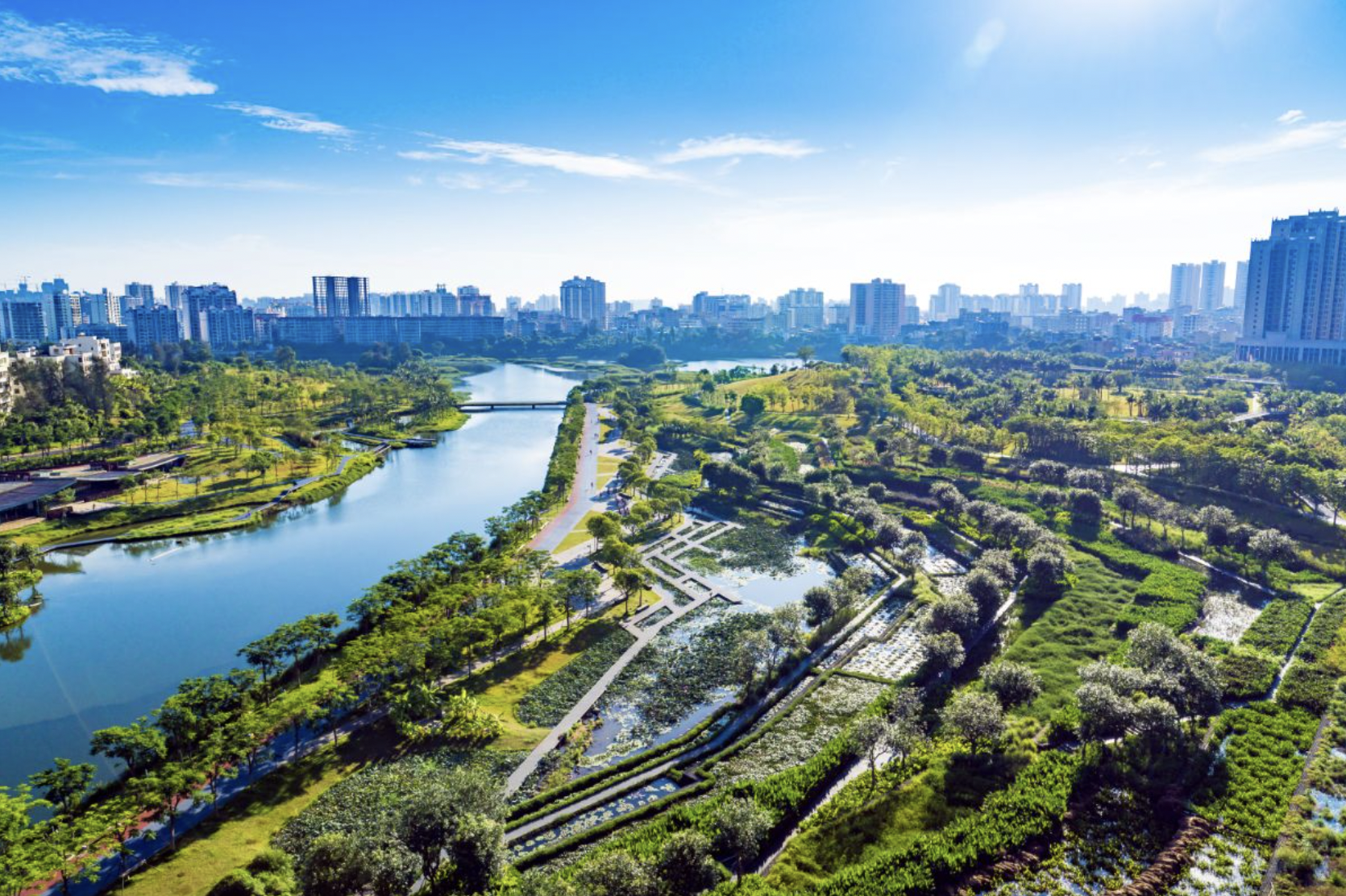 Terraced wetlands in Hainan's Haikou city.