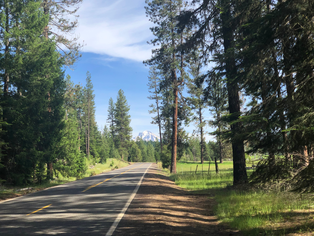 Mount McLoughlin is visible through the trees along a road in Butte Falls, Oregon. 