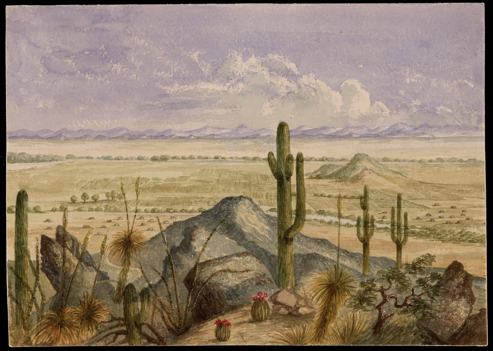 A watercolor painting from 1852 shows Pima fields with the Gila River in the distance. 
