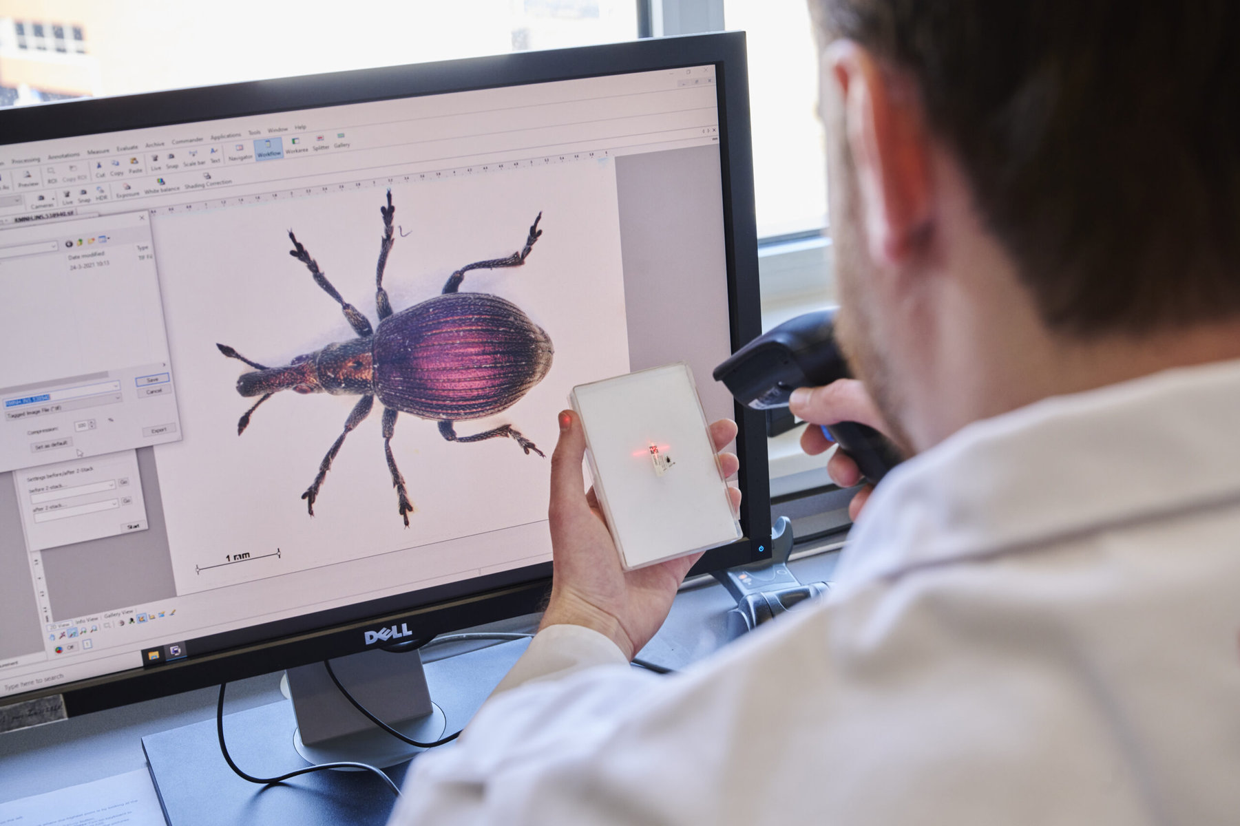 A lab worker scans the 2D barcode on an insect specimen's label that links to a digital representation of the same specimen. 