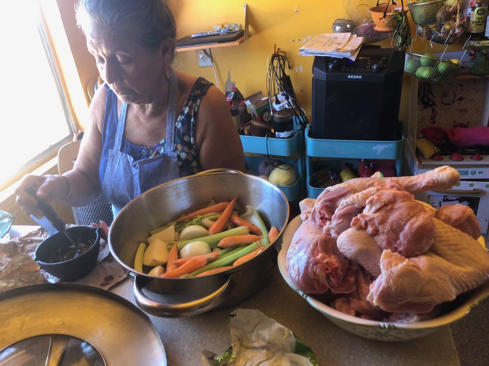 A woman doing a cooking demonstration with chicken and vegetables.