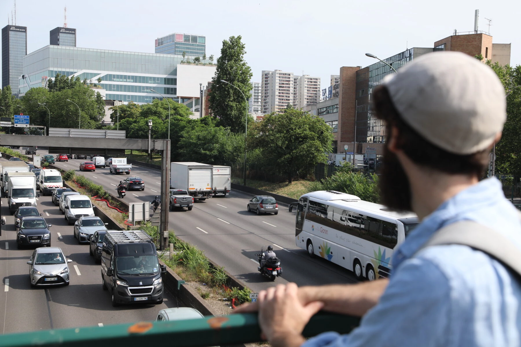 Damien Saraceni looks out at a mini-forest along a highway.