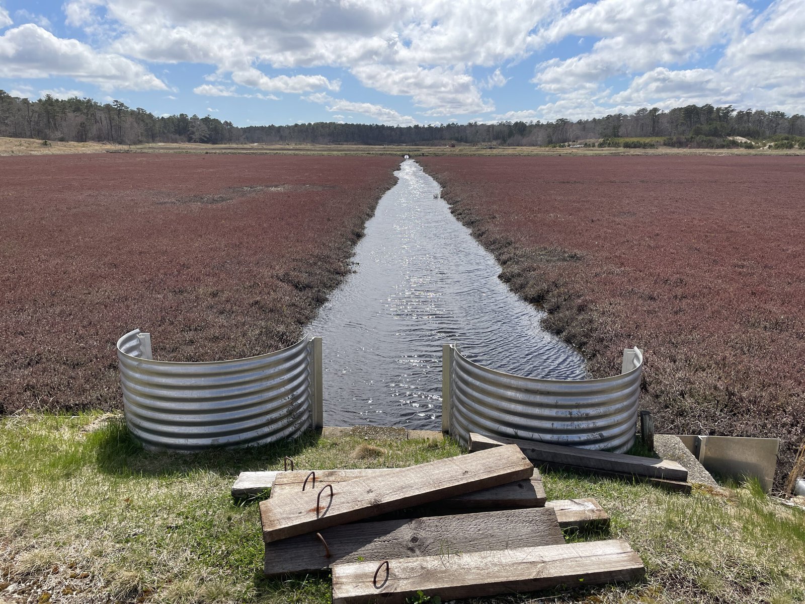 A large cranberry farm with water running through.