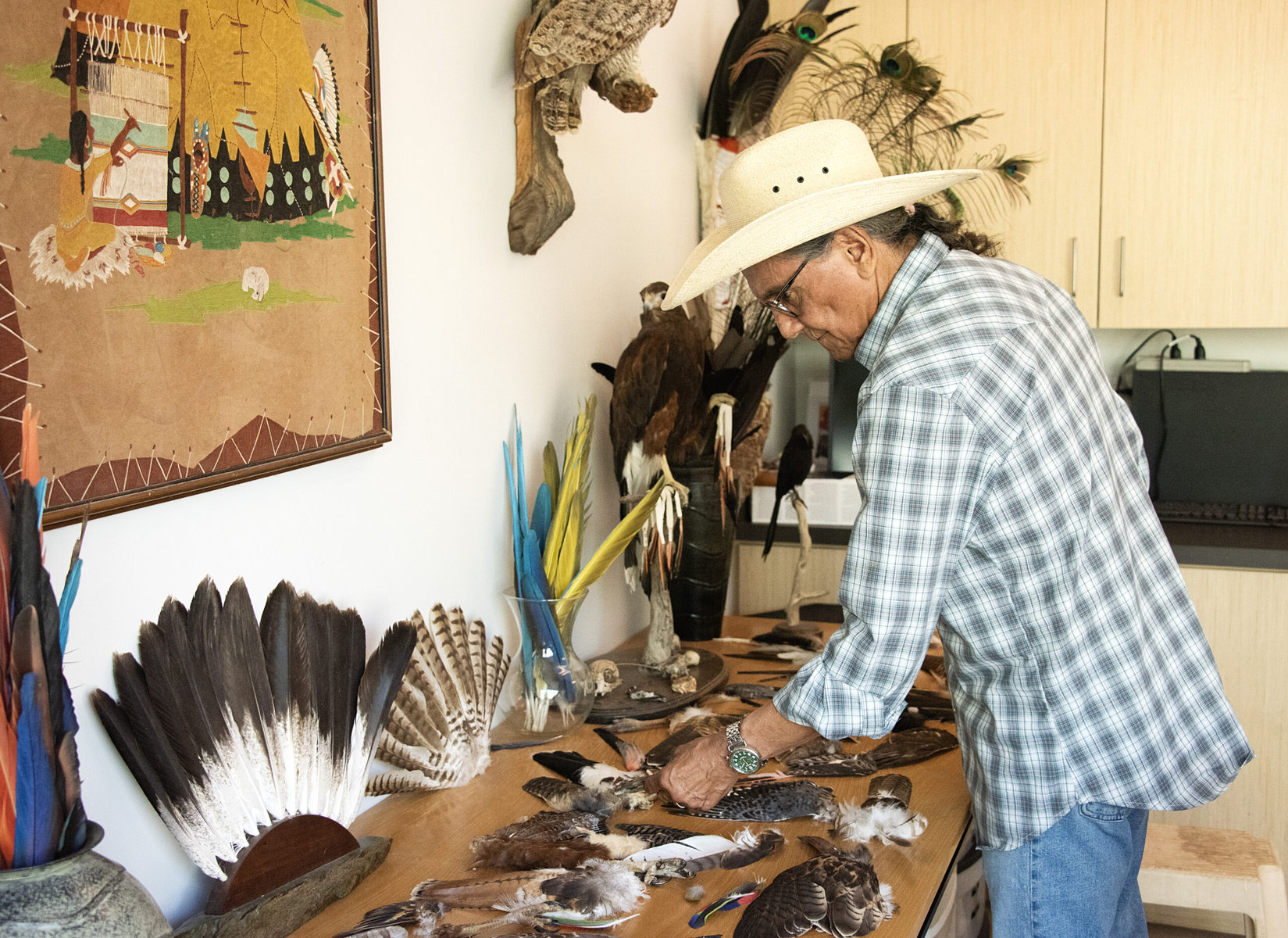 Robert Mesta showing feathers and other items in his office.