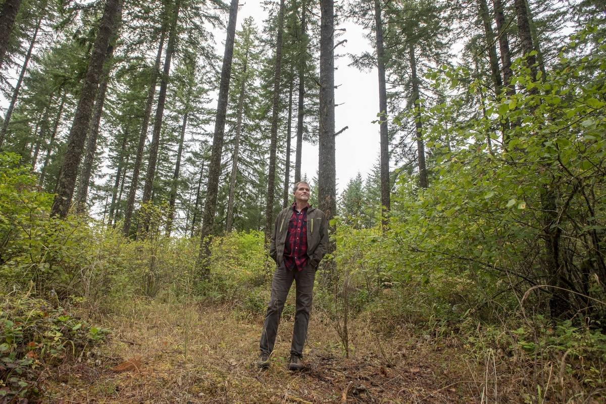 Ryan Temple stands in a forest.