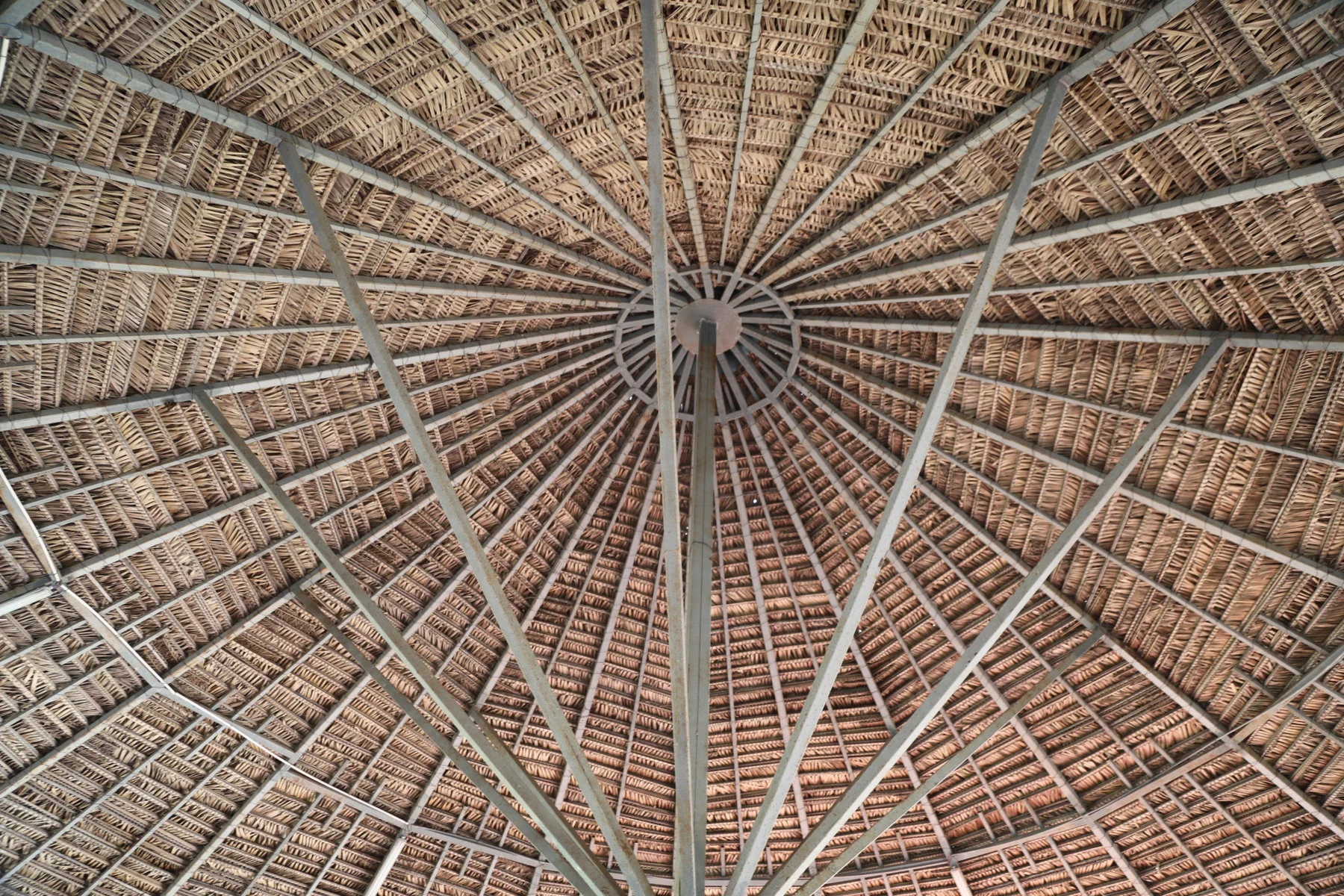 A traditional Cacataibo thatched roof. 