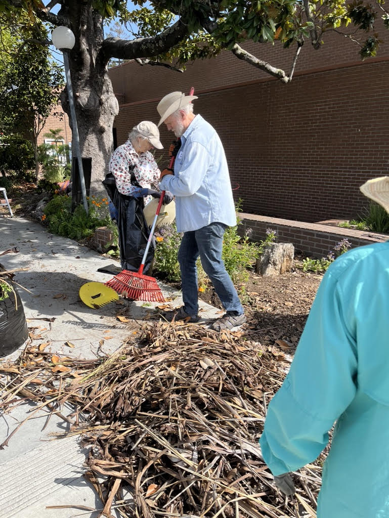 Steve Bursch (with red rake) and fellow time bankers beautify the library grounds for the City of Sebastopol. 