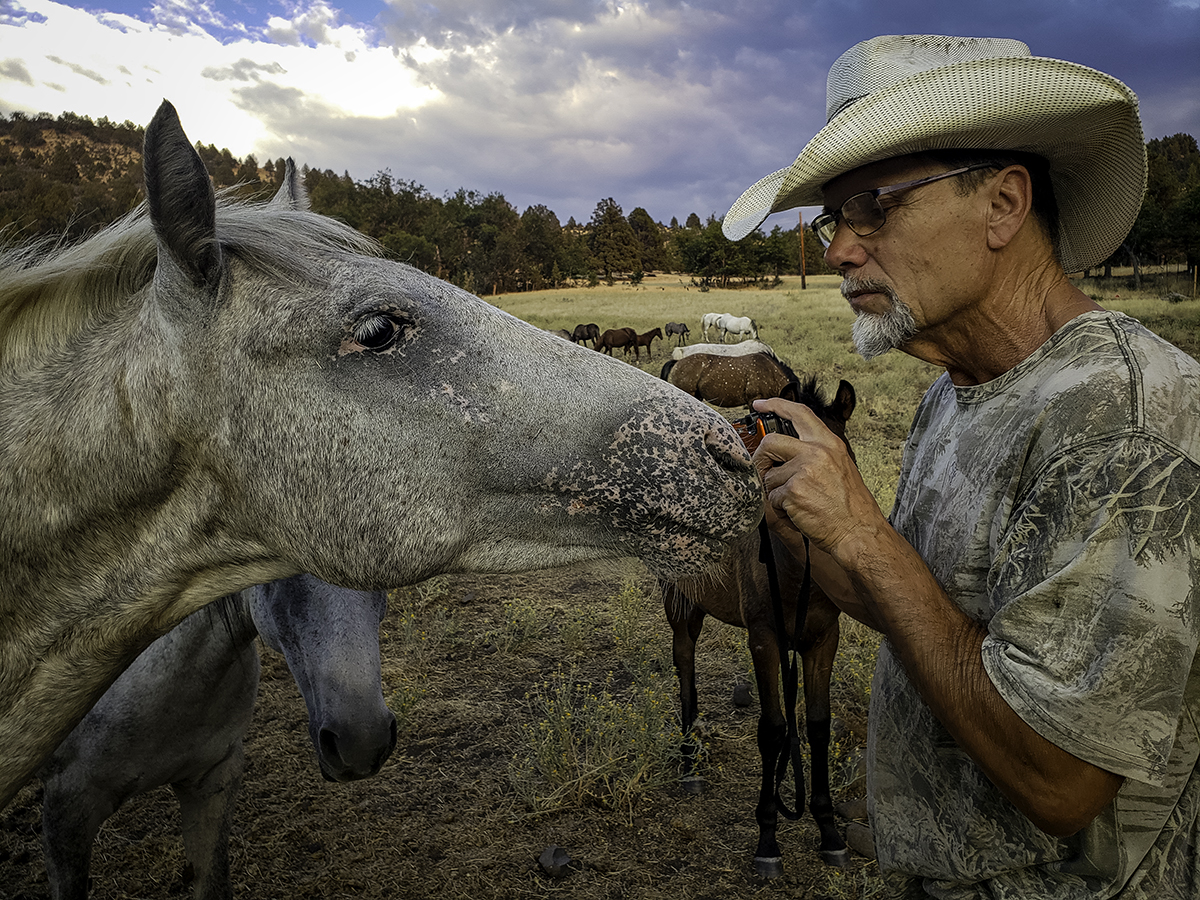 William E. Simpson greets a wild horse.