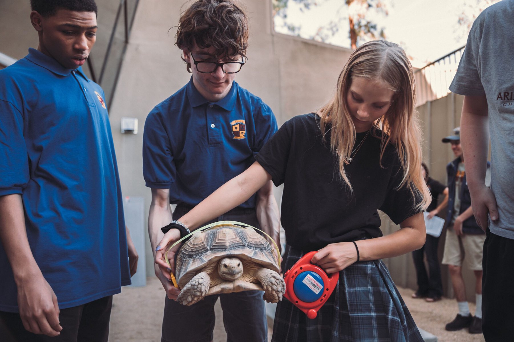 A student holds a desert tortoise while other students look on.