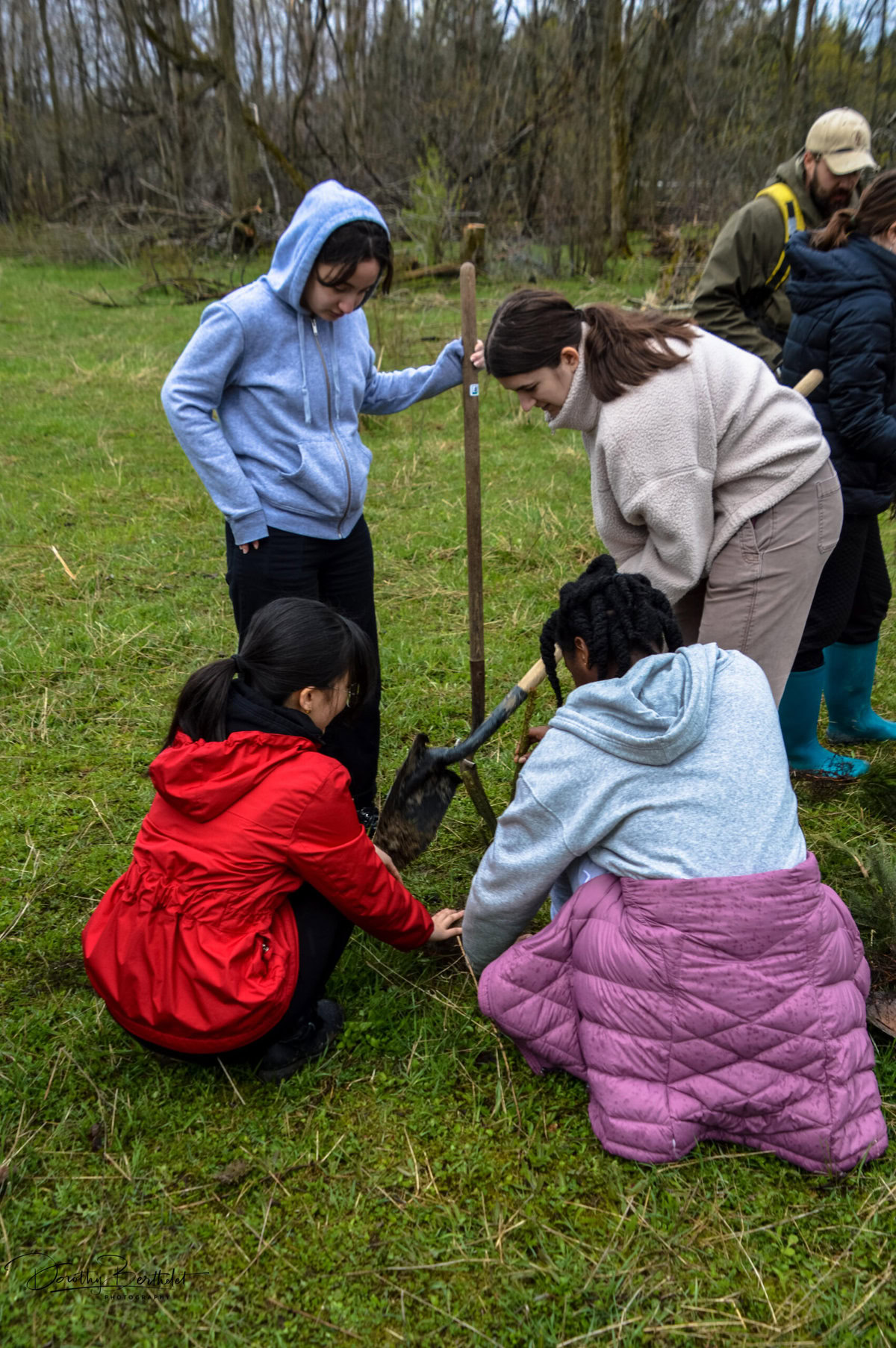 High schoolers in Orléans, Ontario work on a tree-planting project.