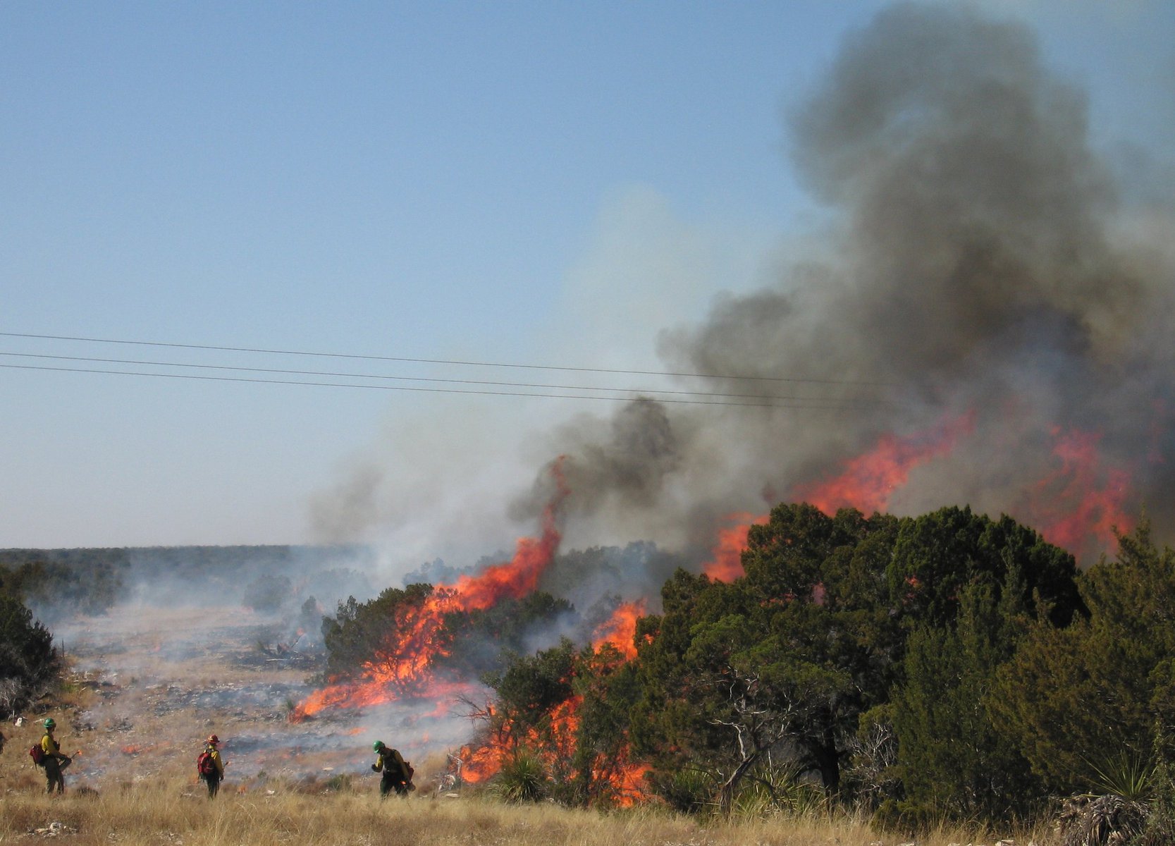 Firefighters igniting a prescribed burn on private lands in Texas. 