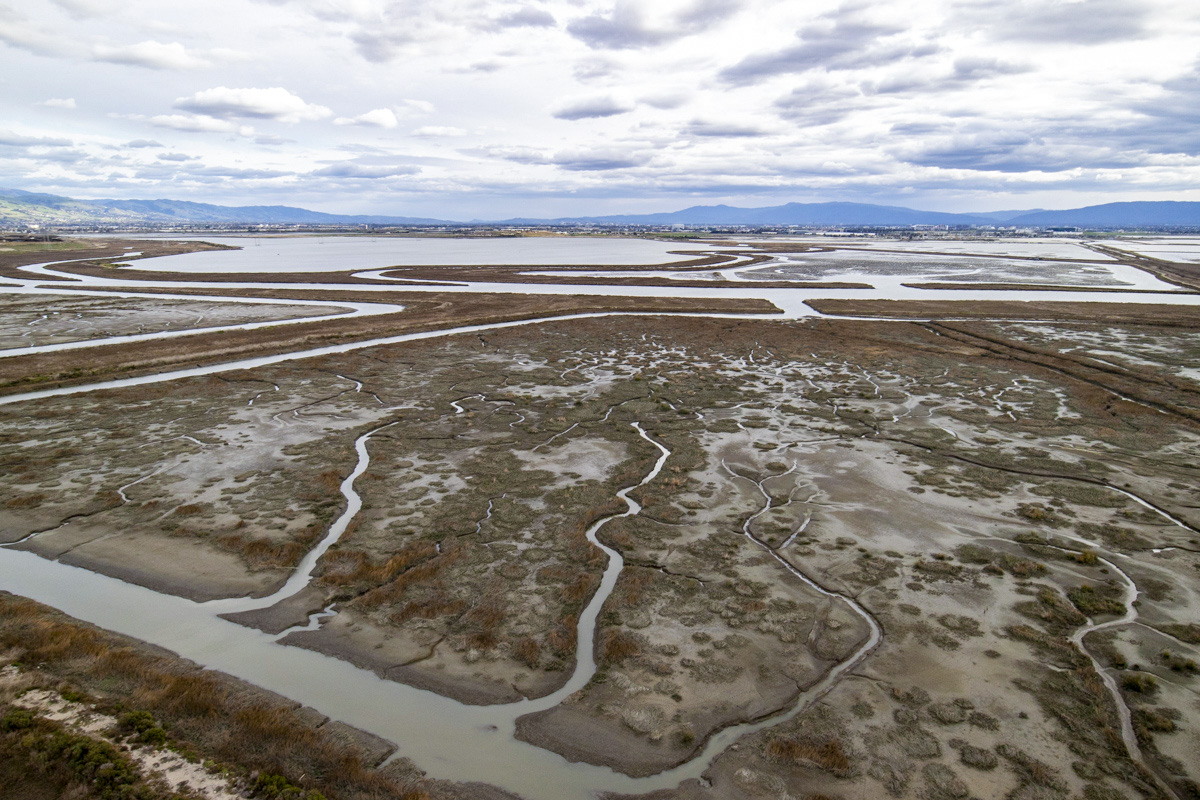 Aerial view of a salt pond.