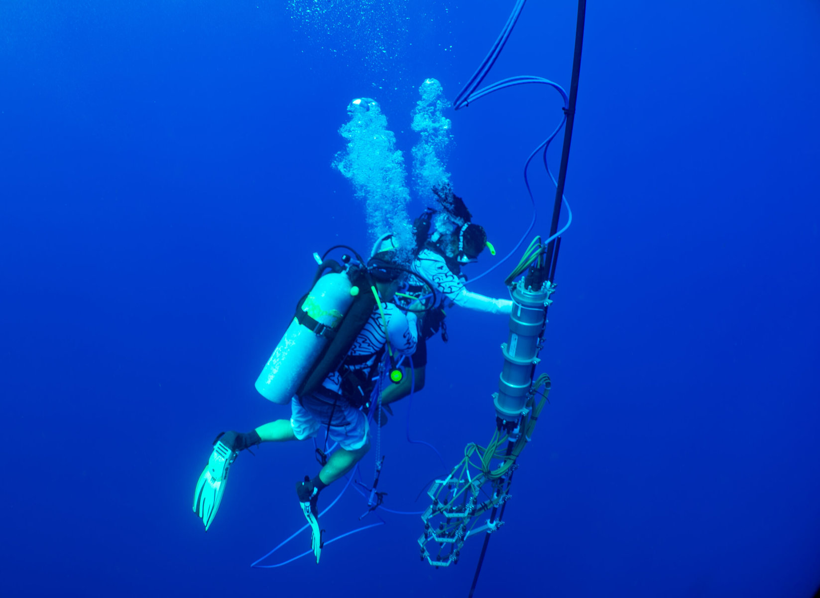 Scientists diving with whale recording unit.