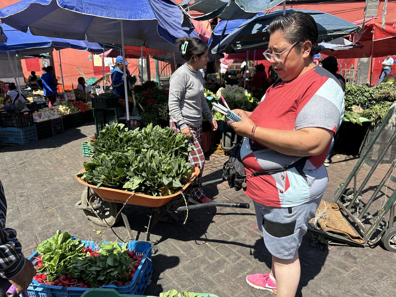 Rosa Garcia sells the produce that she grows on her family's one-hectare chinampa at Xochimilco market.