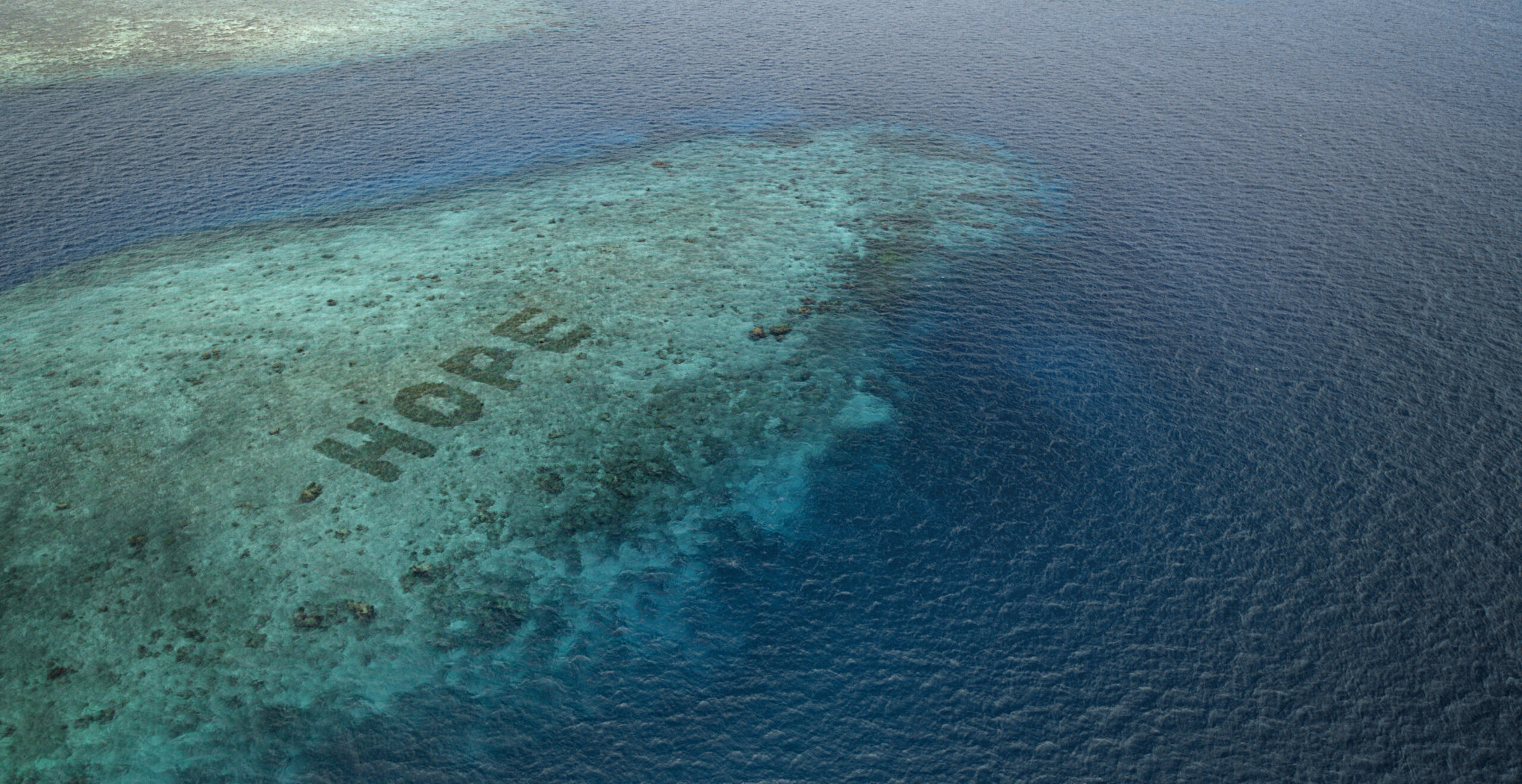 The SHEBA Hope Reef has been regrown to spell the word ‘HOPE’ to drive awareness
