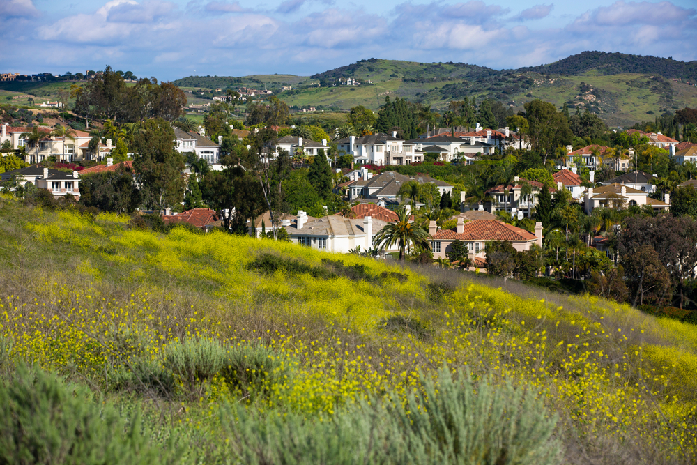 A suburban area of Irvine with wildflowers in the foreground.
