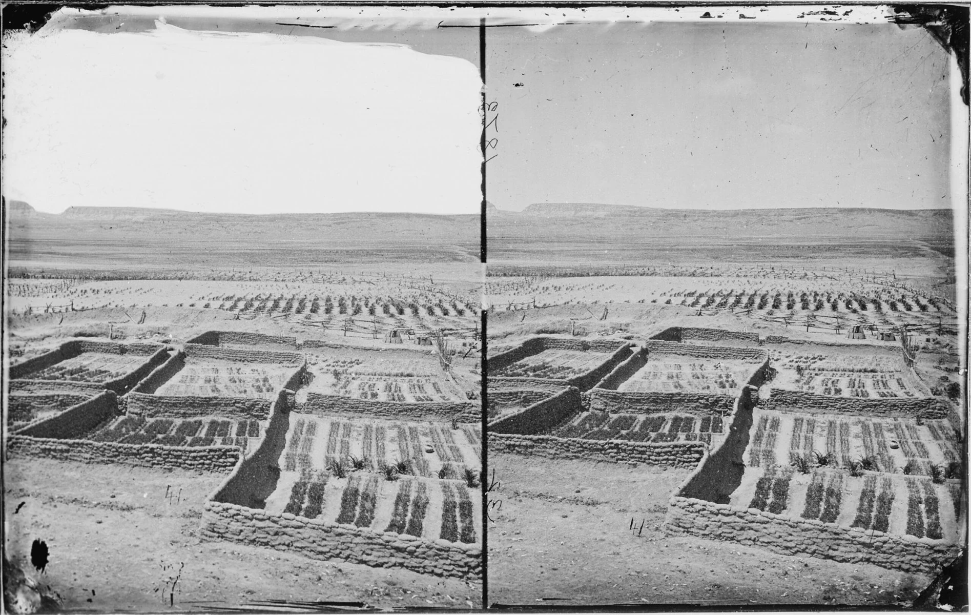 Two black and white images of Zuni vegetable gardens in 1873.
