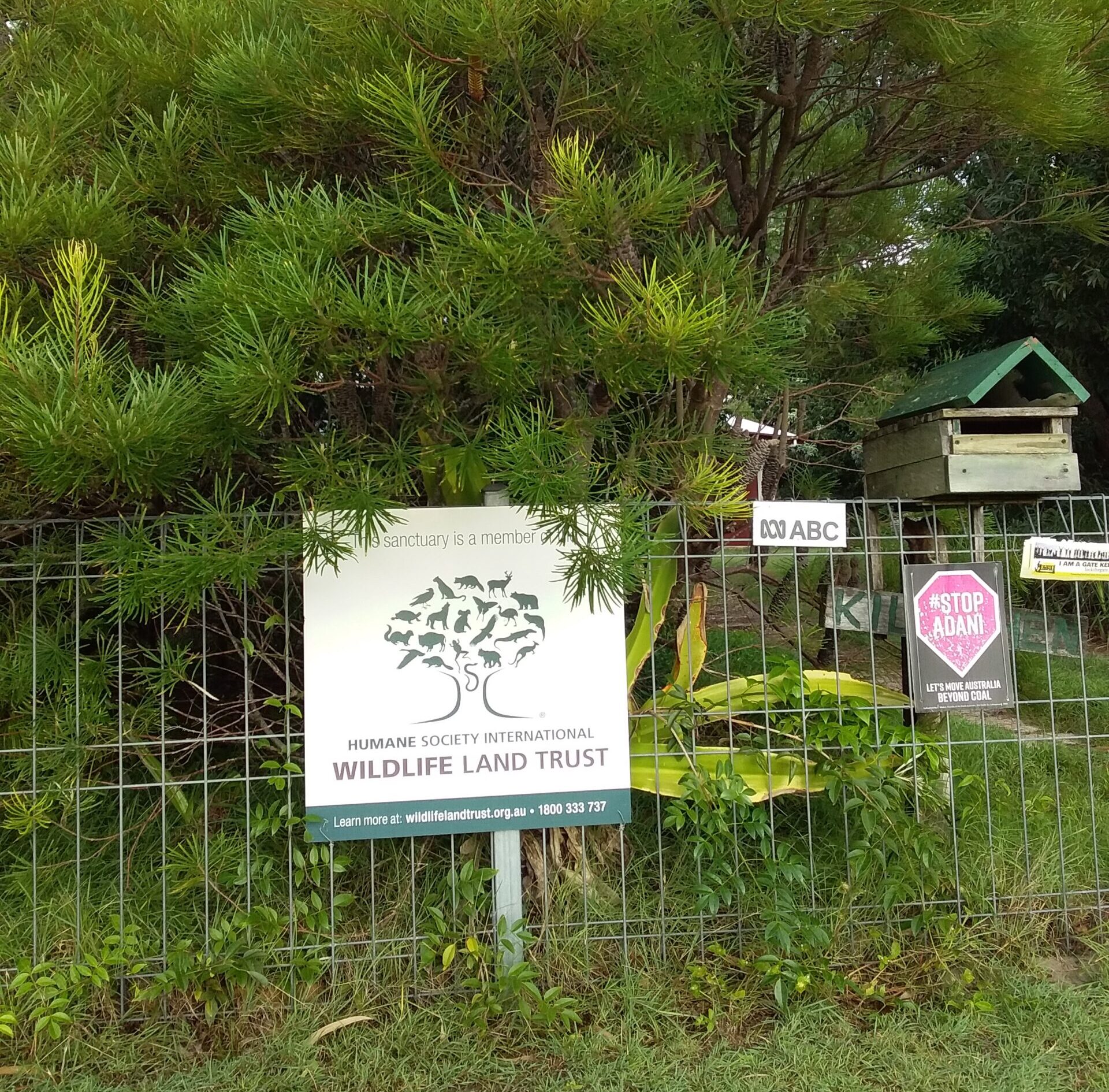 The “Land for Wildlife” sign on Harry Johnson’s small property amid a background of green plants.